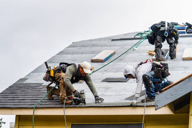 Professional Roofing technician working in Albion, IA
